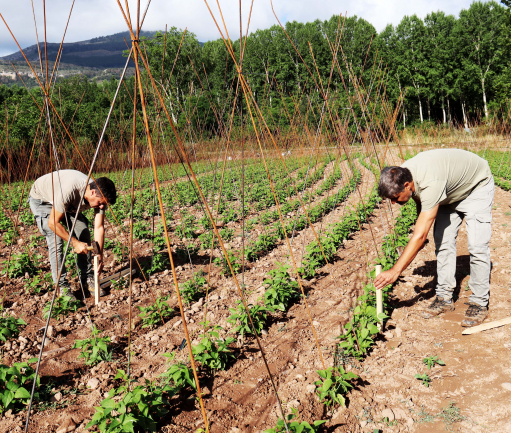 20 años de desarrollo rural